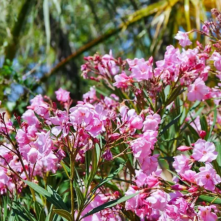 La Bergerie Du Chateau De Holiday home