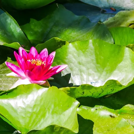 La Bergerie Du Chateau De Casa de Férias *